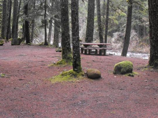 Campsites on Olallie Creek