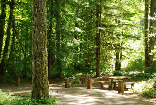  Shady campsites in Hoover Campground, Detroit Lake, OR 