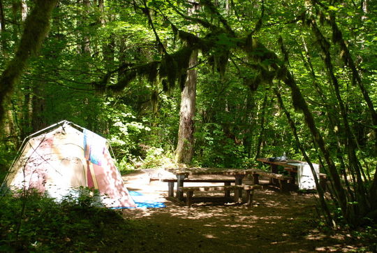 Tent friendly camping in Hoover Campground, Detroit Lake, OR    