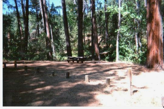  Some pull-through campsites in&nbsp;Cherry Valley Campground east of Sonora, California 