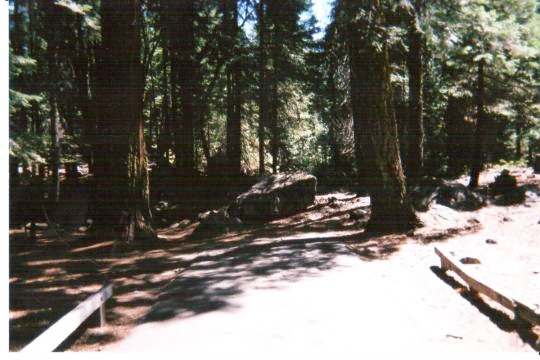  Shady campsites in&nbsp;Cherry Valley Campground east of Sonora, California 