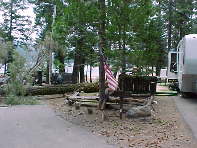 Loggers fall hazard tree in Host Site, Rocky Point Campground near Canyon Dam, CA