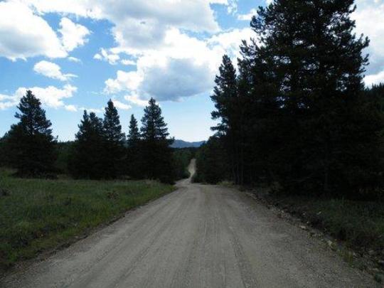 Road to Columbine Campground