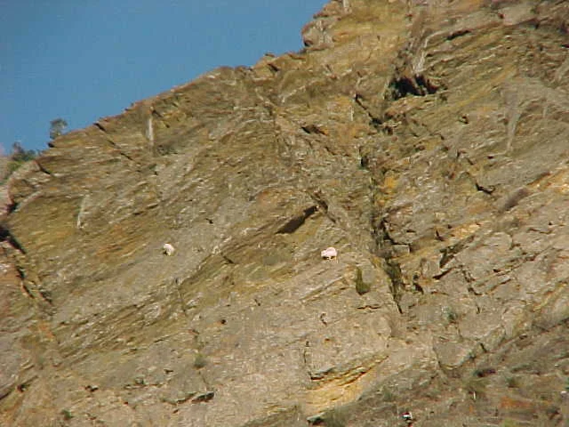 Rock climbing program gets veterans back on track