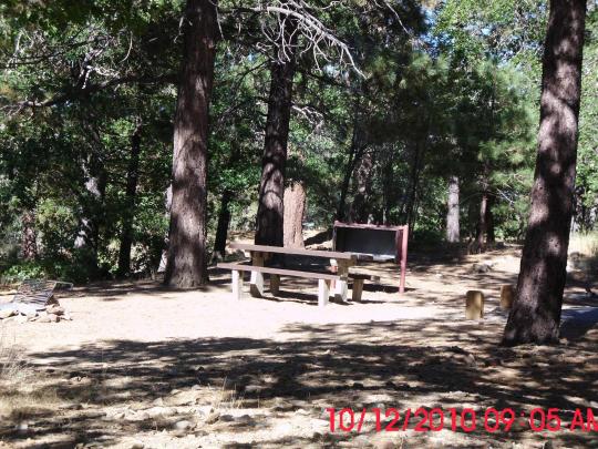 Bear country camping