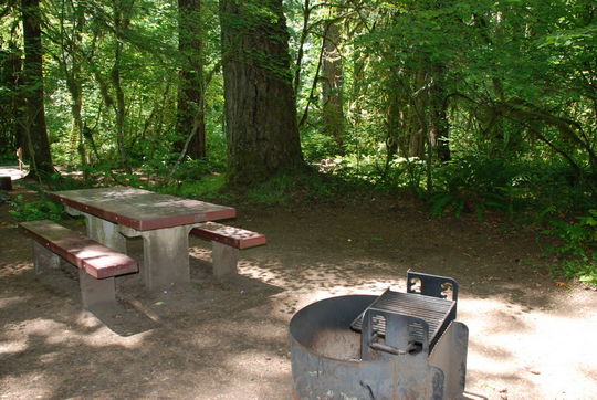 Campsites have table and fire ring