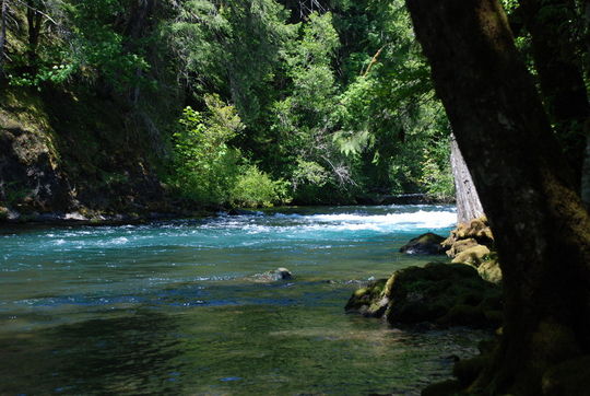 Beautiful McKenzie River