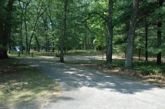 Separation between campsites