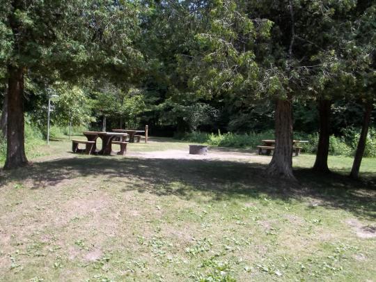 Picnic tables and fire rings