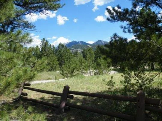 Olive Ridge Campground, near Rocky Mountain National Park, Colorado