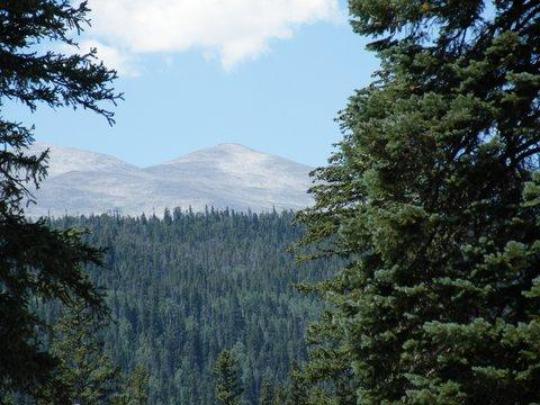 Peaceful Valley View