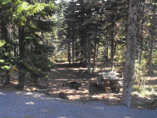 Picnic table, fire ring and parking pad