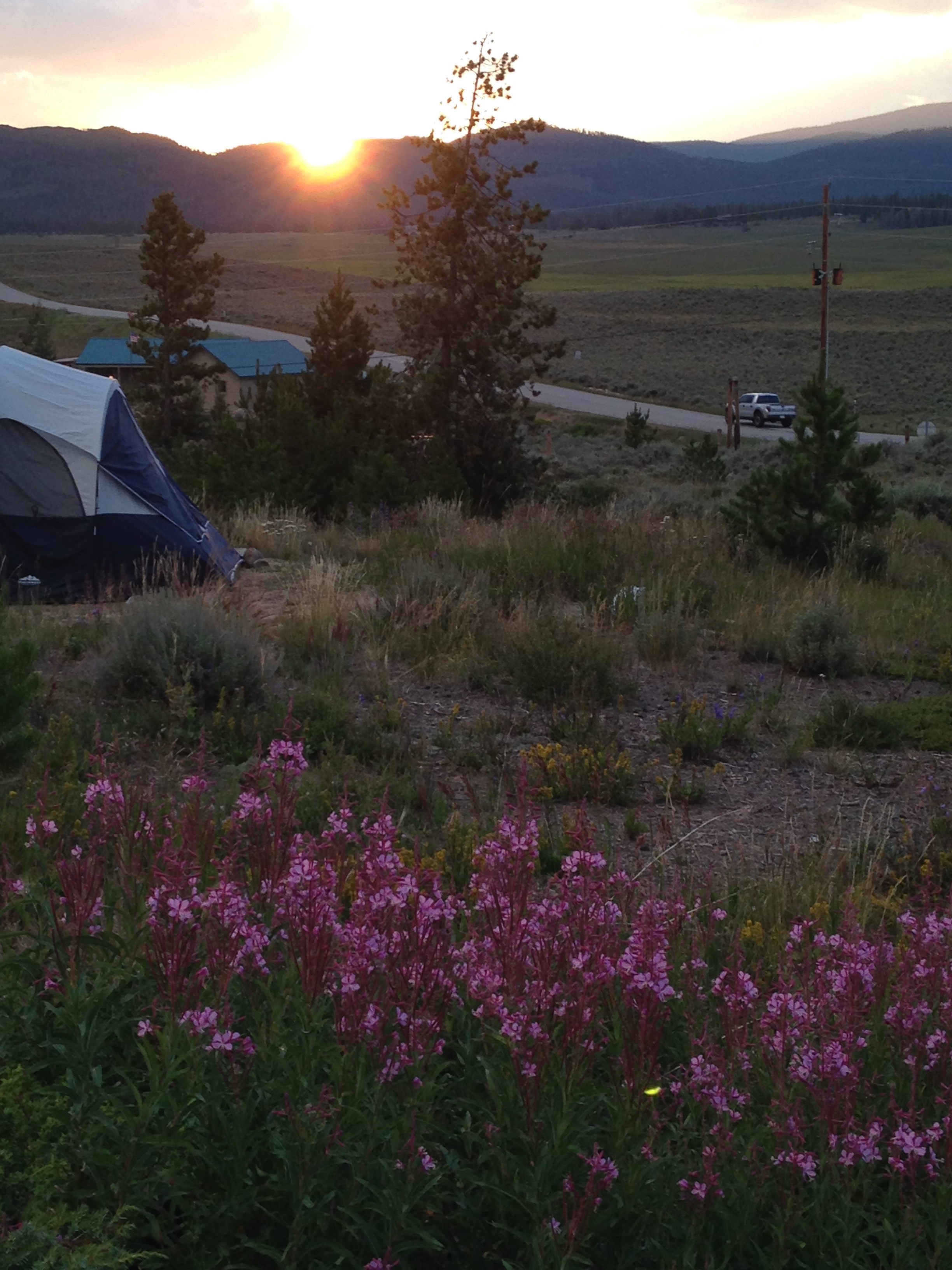 Tent friendly camping