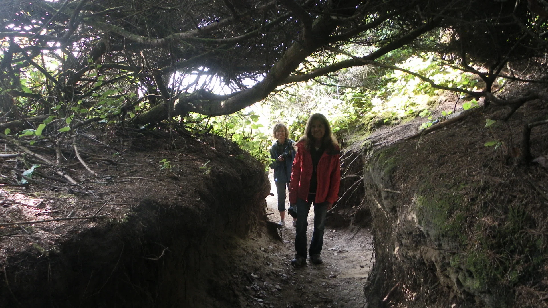 Take a Hike in the Wilderness!