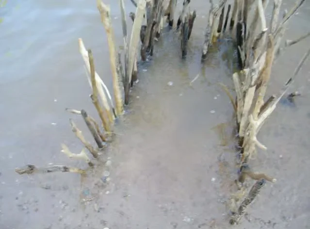 Camping survival skills for mom