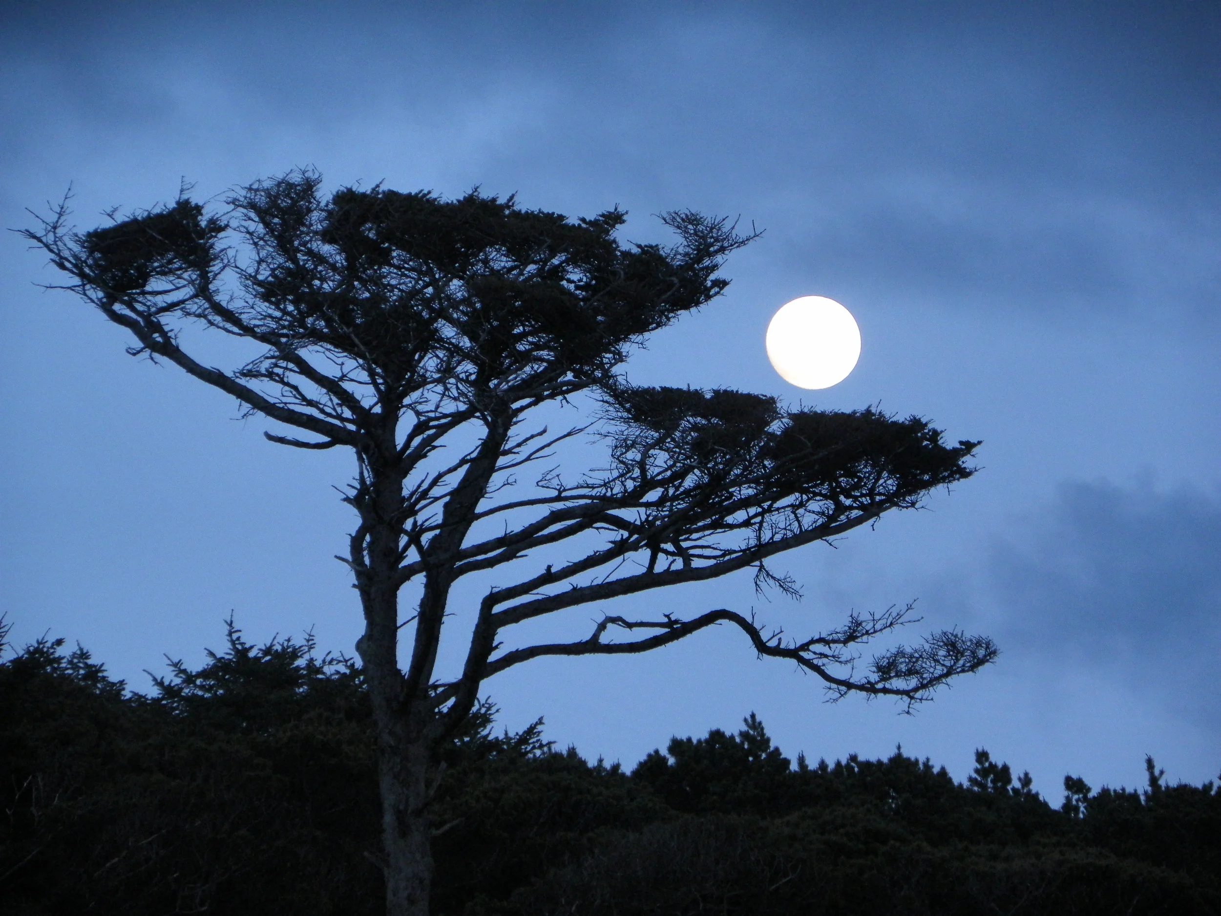 Last Supermoon of 2014 - Sep 8, 2014