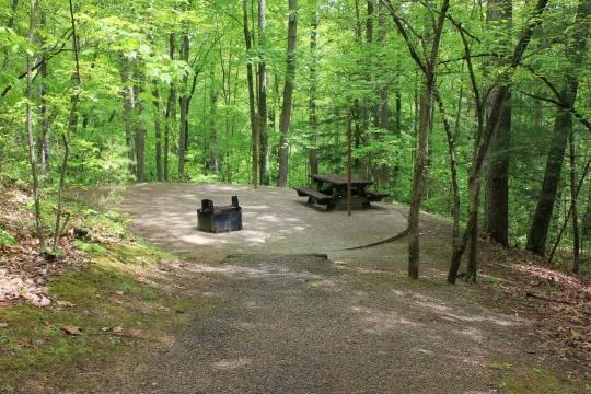 Grove Campground near Corbin, KY - Virtual Tour