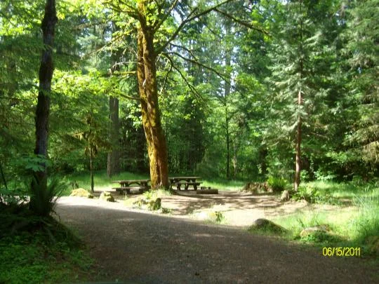 Delta Campground near Blue River, Oregon