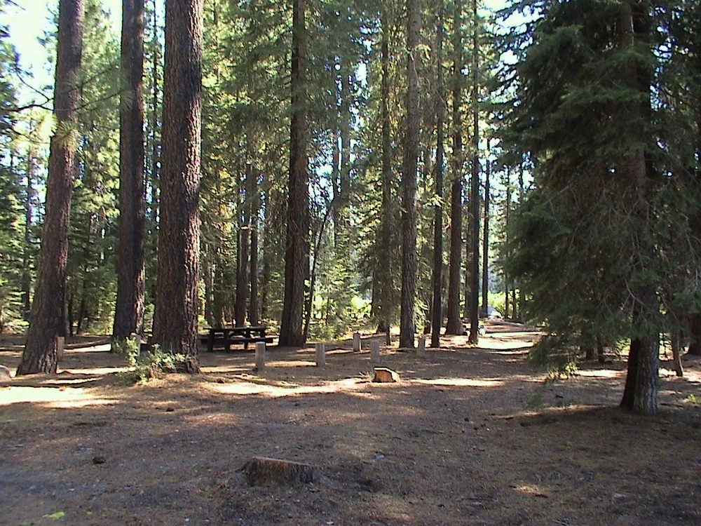 Yellow Creek, Humbug Valley, CA - Virtual Tour