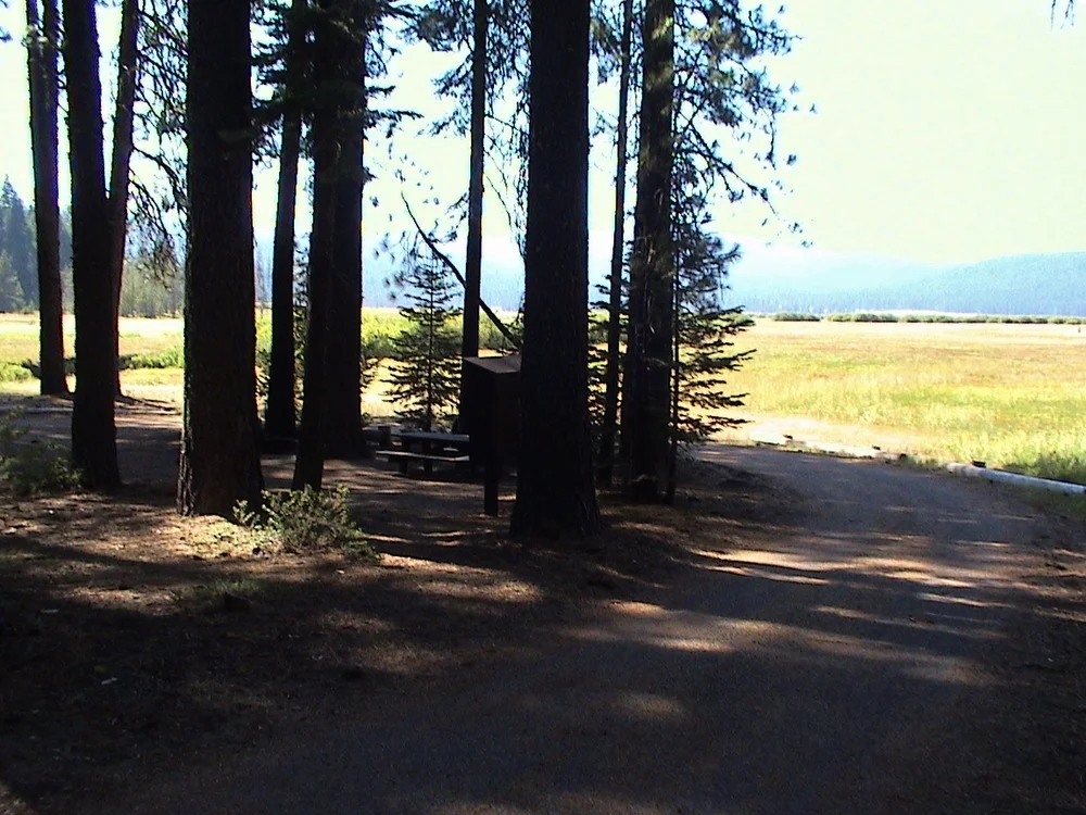 Yellow Creek Campground, Lake Almanor, No. California