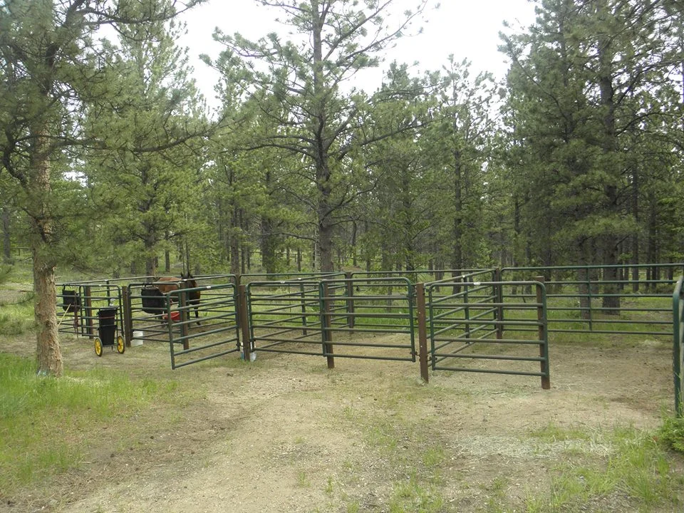 Jack's Gulch west of Fort Collins, Colorado - Virtual Tour