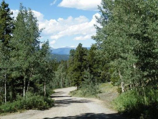 Cold Springs Campground near Idaho Springs, CO - Virtual Tour