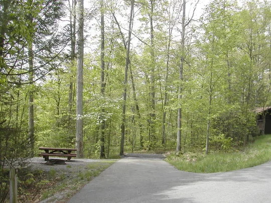 Seneca Shadows near Elkins, WV - Virtual Tour