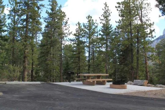 McWilliams Campground near Las Vegas, NV - Virtual Tour