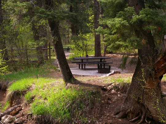Balsam Campground near Springville, UT - Virtual Tour