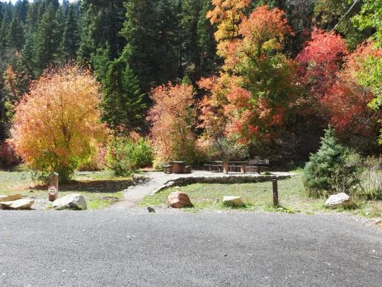 Bear Canyon Campground near Nephi, UT