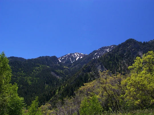 Tinney Flat Campground in Santaquin Canyon, UT