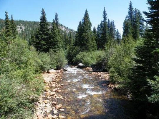 Peaceful Valley Campground north of Ward, CO - Virtual Tour