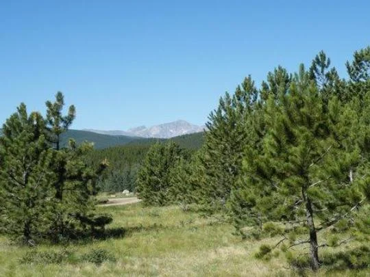 Kelly Dahl near Rollinsville, CO - Virtual Tour