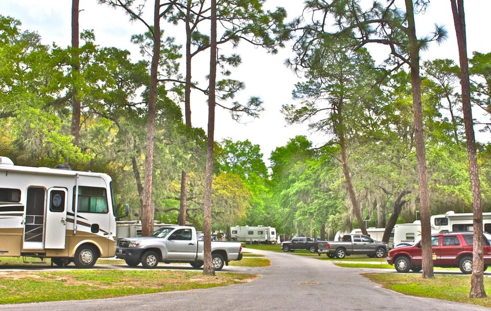 Winter changes for Salt Springs Campground, Florida