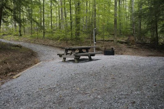 Grindstone Recreation Area near Troutdale, Virginia