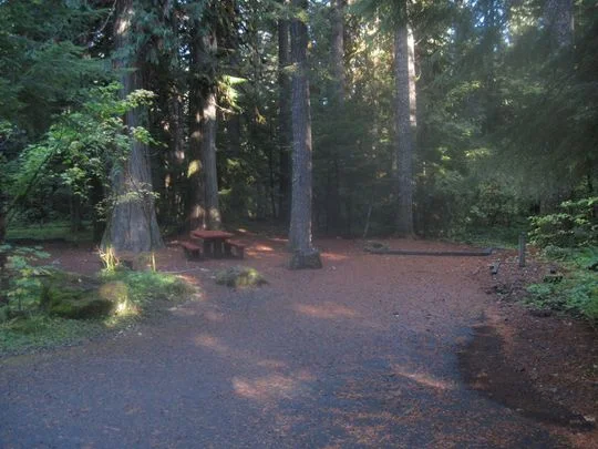 Breitenbush Campground near Detroit, Oregon