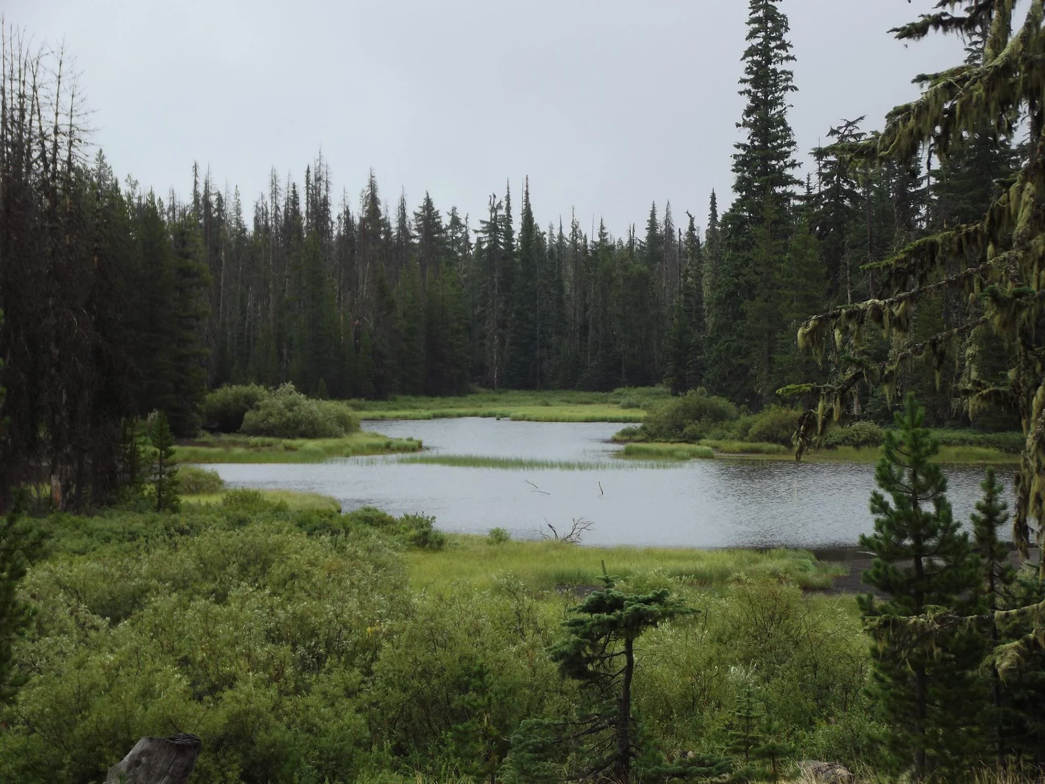 Biking the Santiam Wagon Road