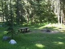 Honeysuckle near Coeur d'Alene, Idaho