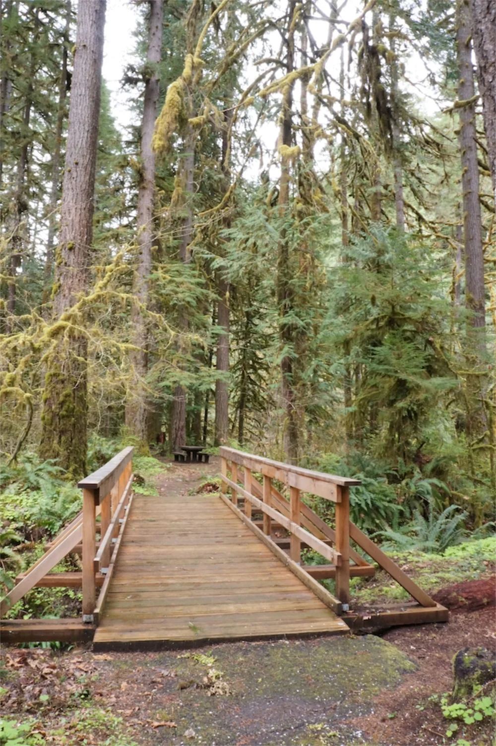 Broken Bowl, near Fall Creek Lake, Oregon - Virtual Tour
