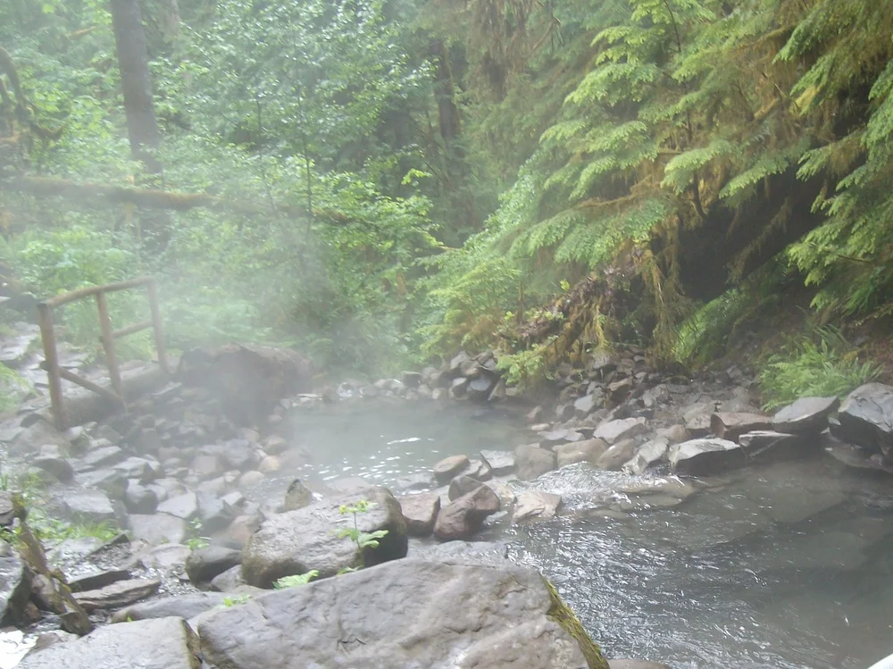 Terwilliger Hot Springs