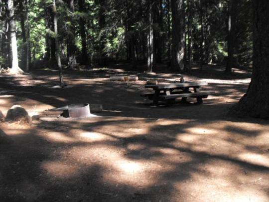 Roomy campsites