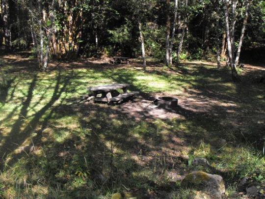 Tent friendly sites