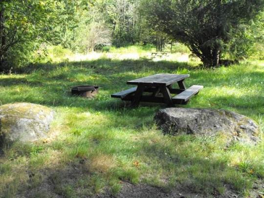 Grassy bed for your tent