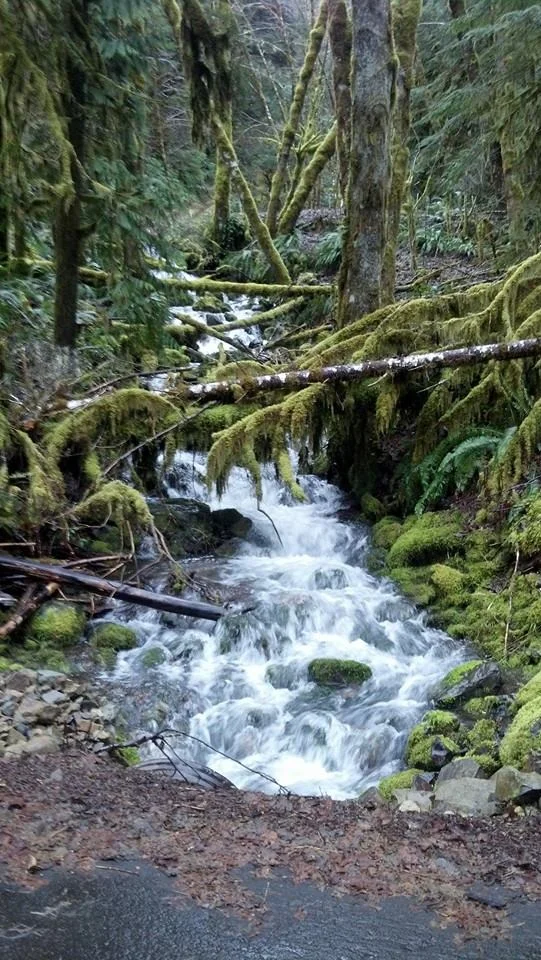 Now taking reservations!