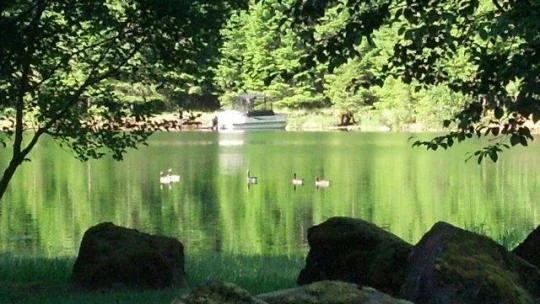 Lookout Campground on Blue River Reservoir - Virtual Tour