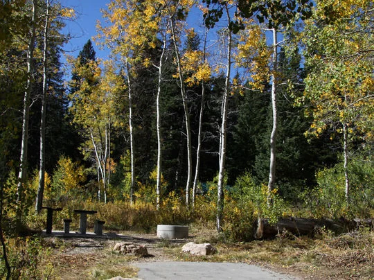 Monte Cristo Campground near Woodruff, Utah - Virtual Tour