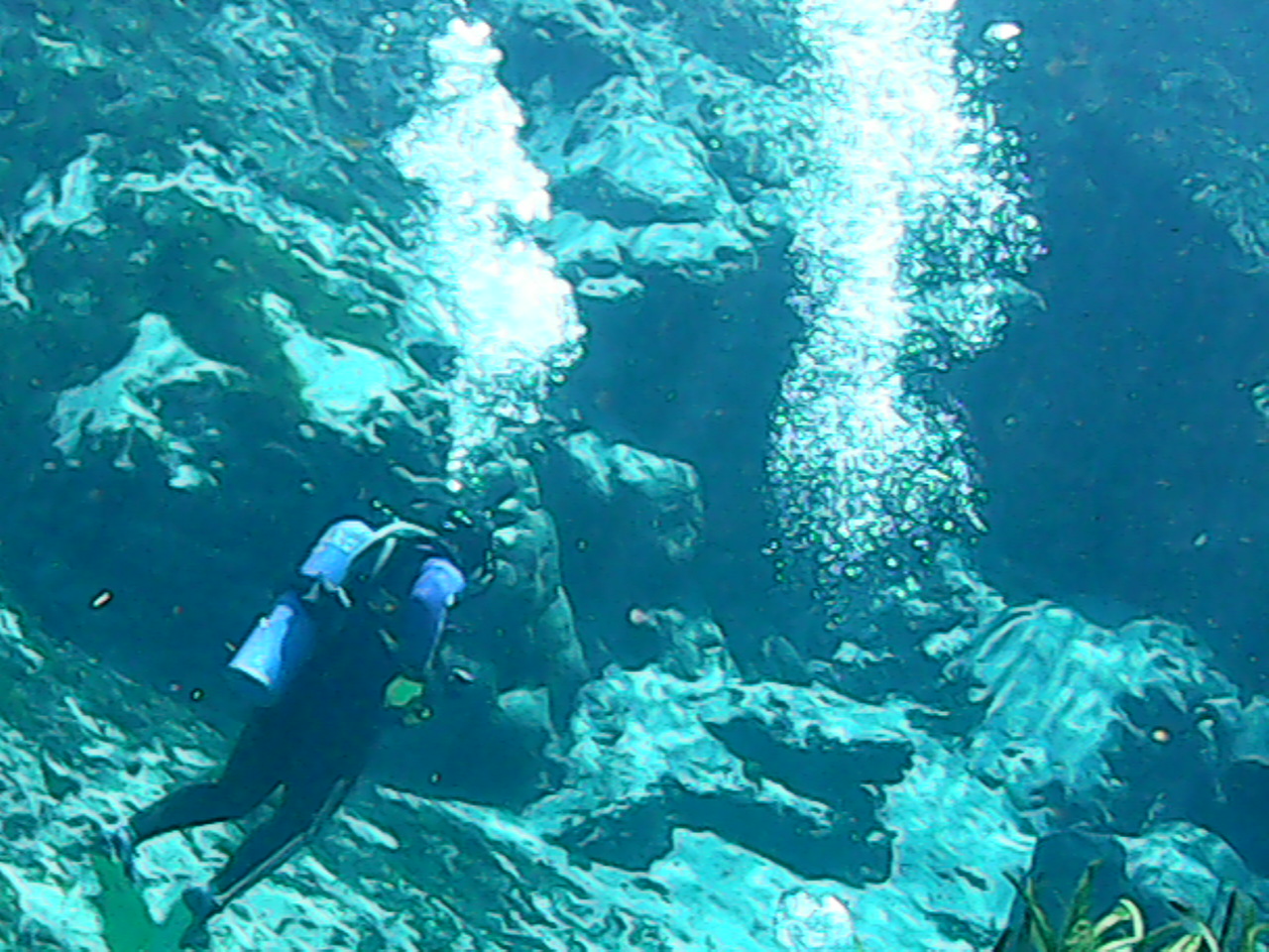 Scuba dive in Alexander Springs