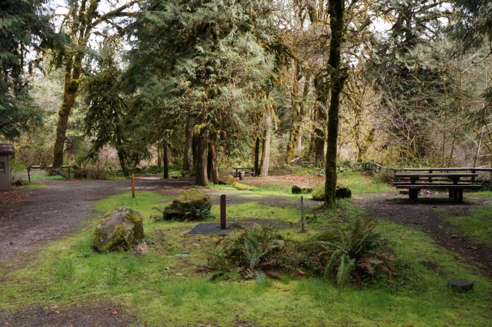 Big Pool Campground, Fall Creek Trail Area - Lowell, Oregon