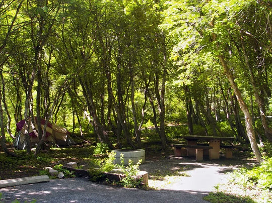 Mt Timpanogos Campground near Sundance Resort, UT
