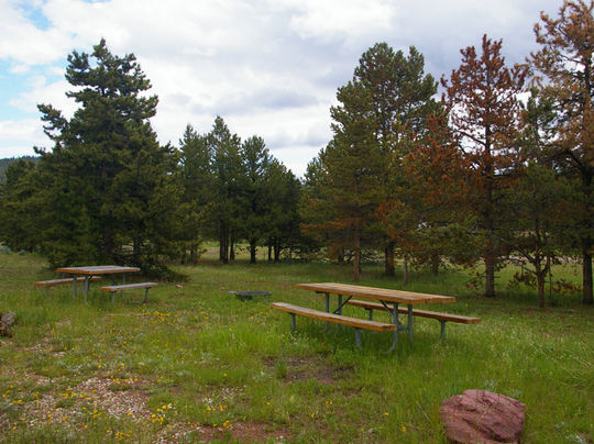 Picnic tables and fire rings in each site